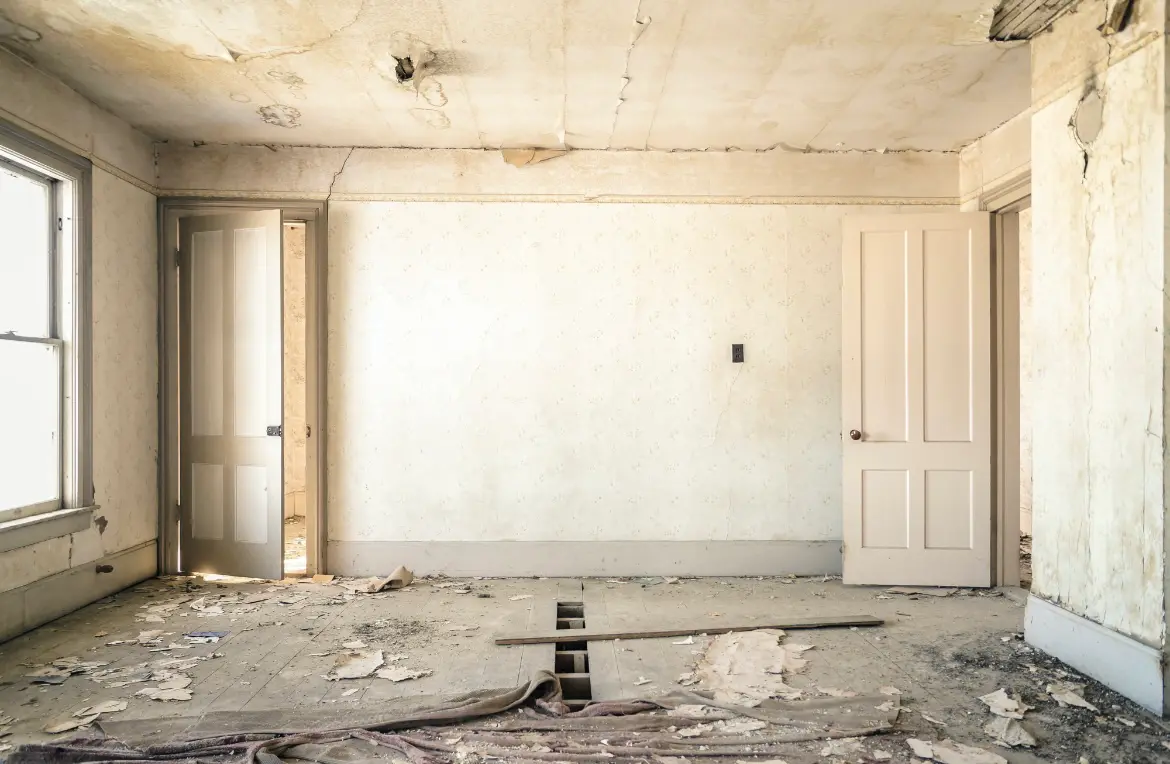 Waste disposal crew managing a cleanout project in Gainesville